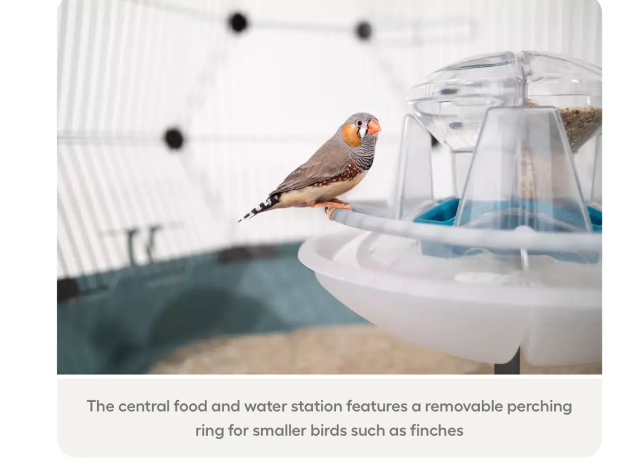 Bird Full Set Up Supplies - Image 3