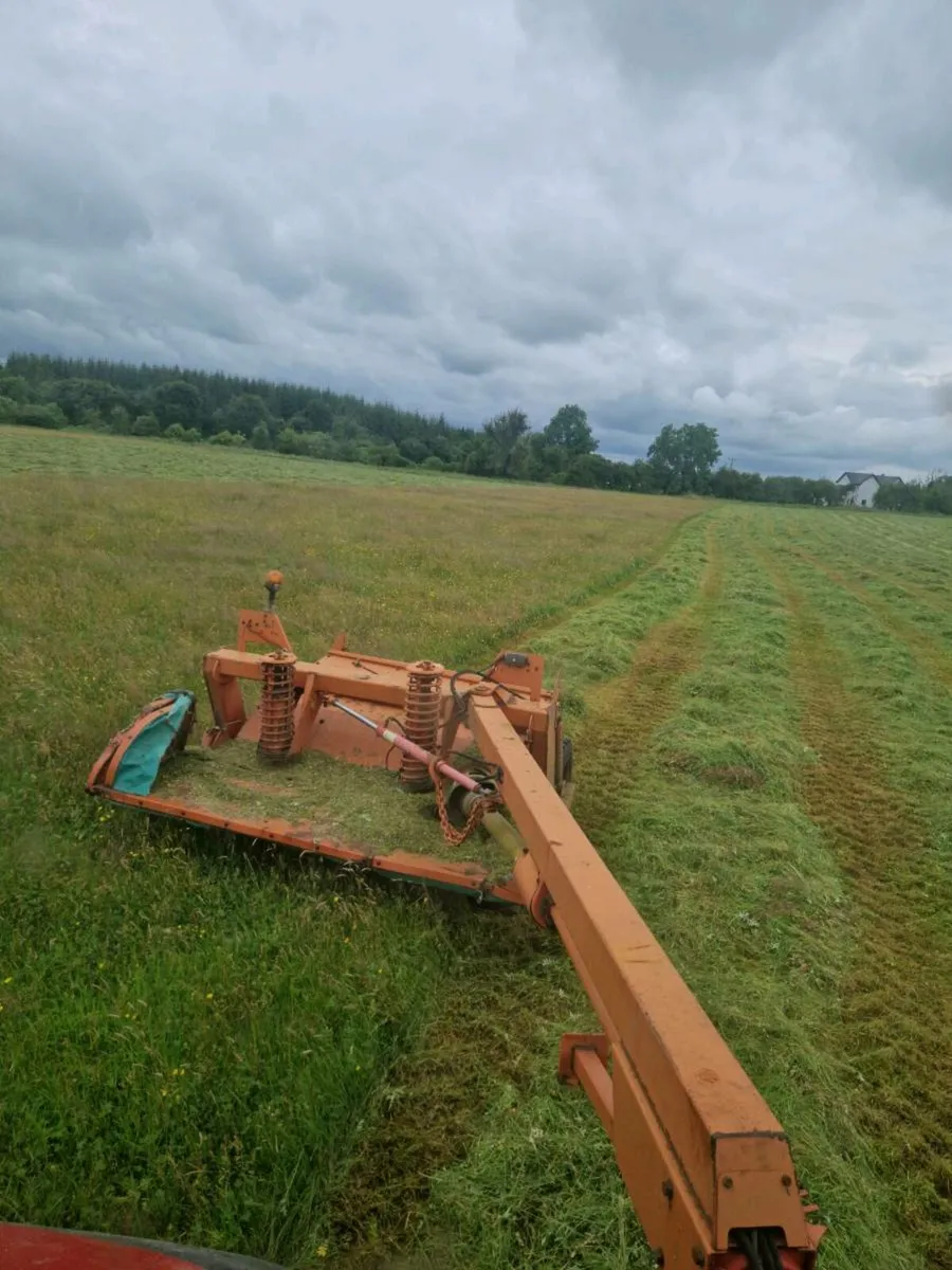 Organic Silage and Haylage - Image 1