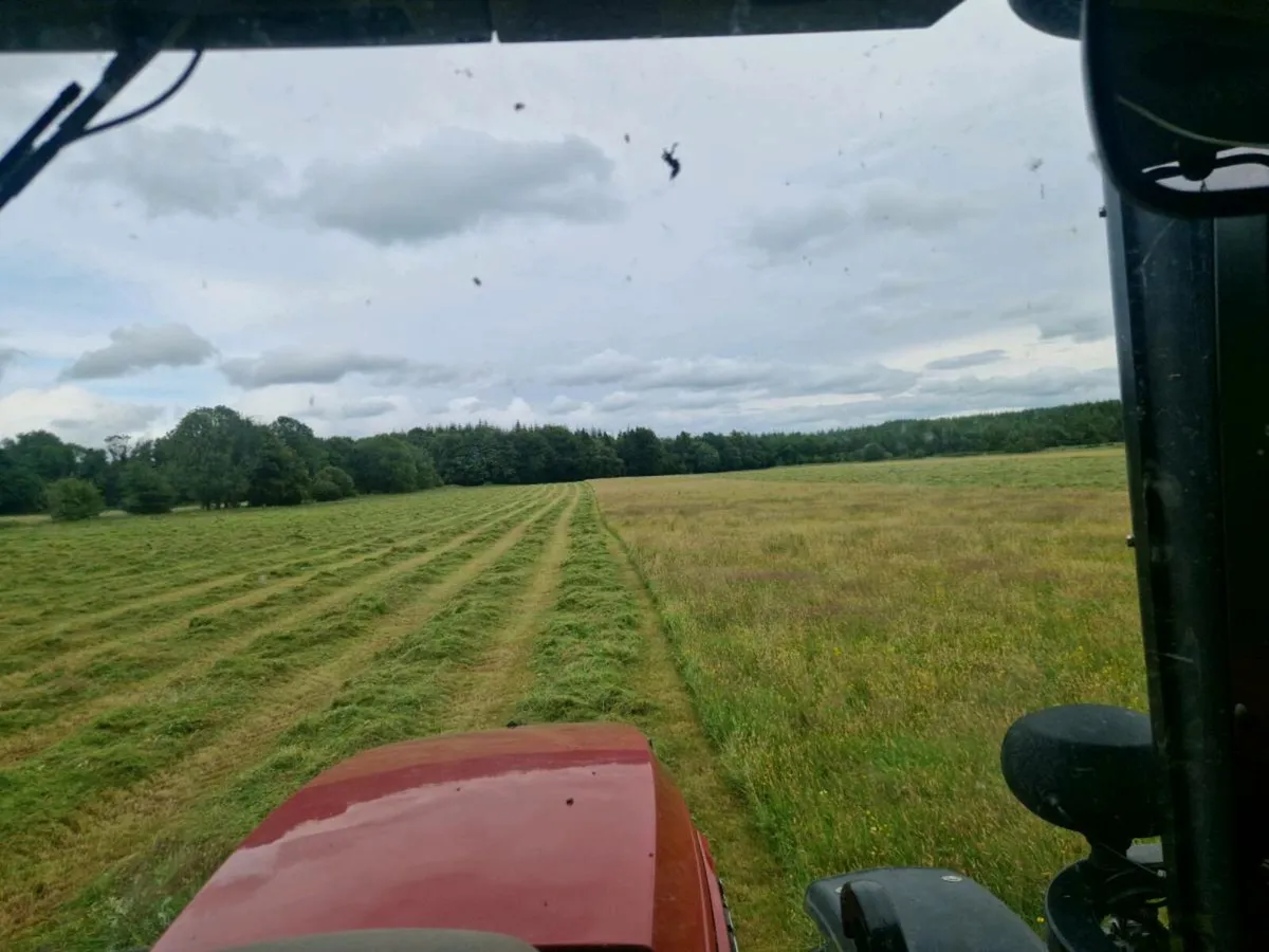 Organic Silage and Haylage - Image 2