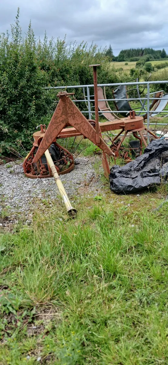 Tedder - Image 4