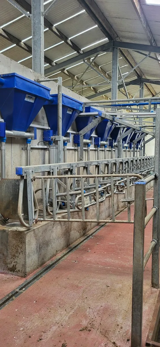 Milking parlour - Image 1