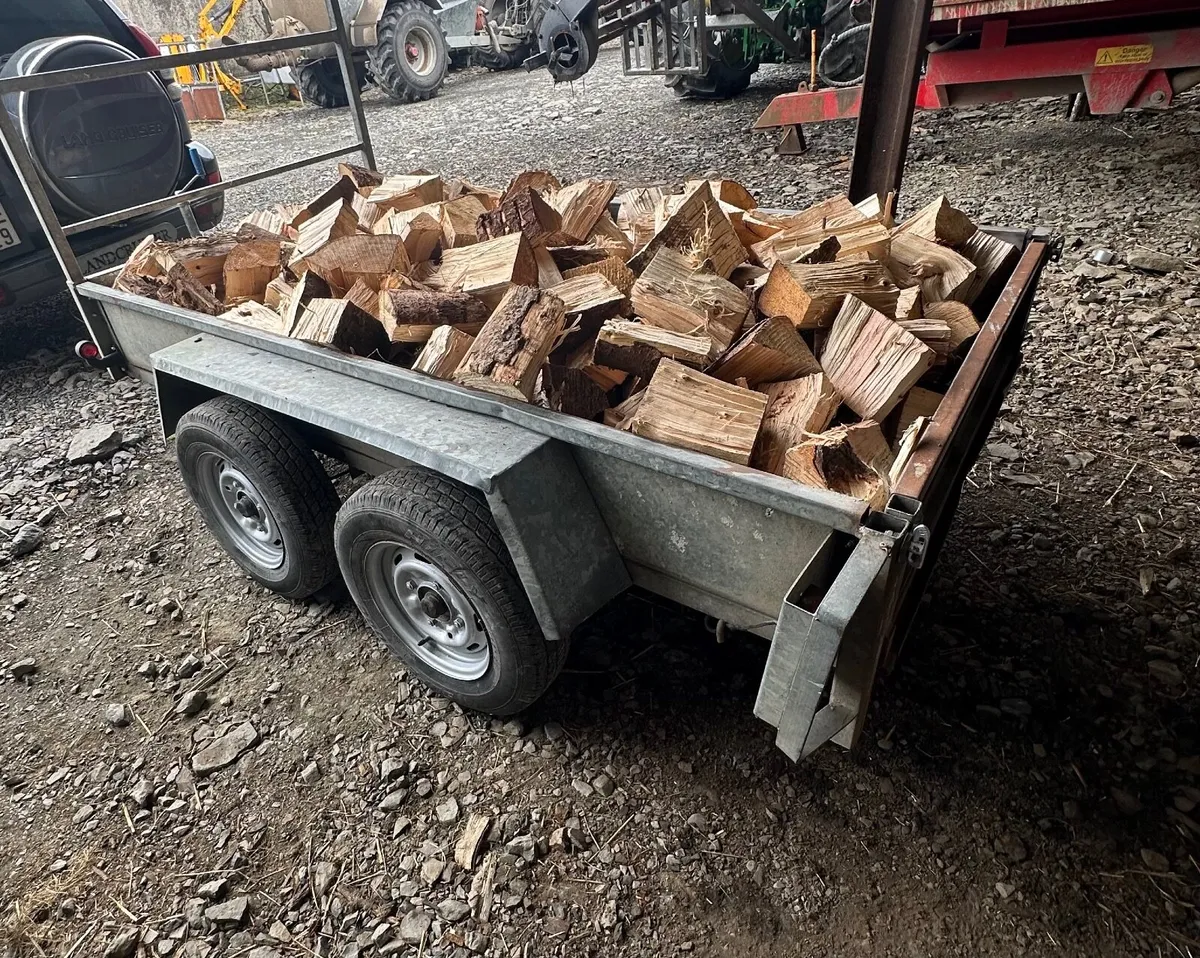Softwood firewood - Image 1