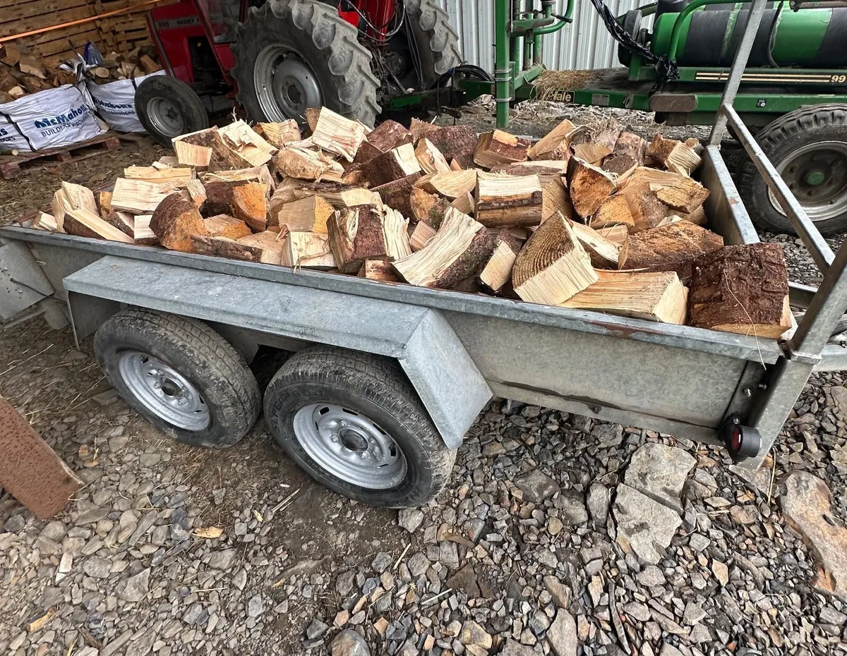 Softwood firewood - Image 3