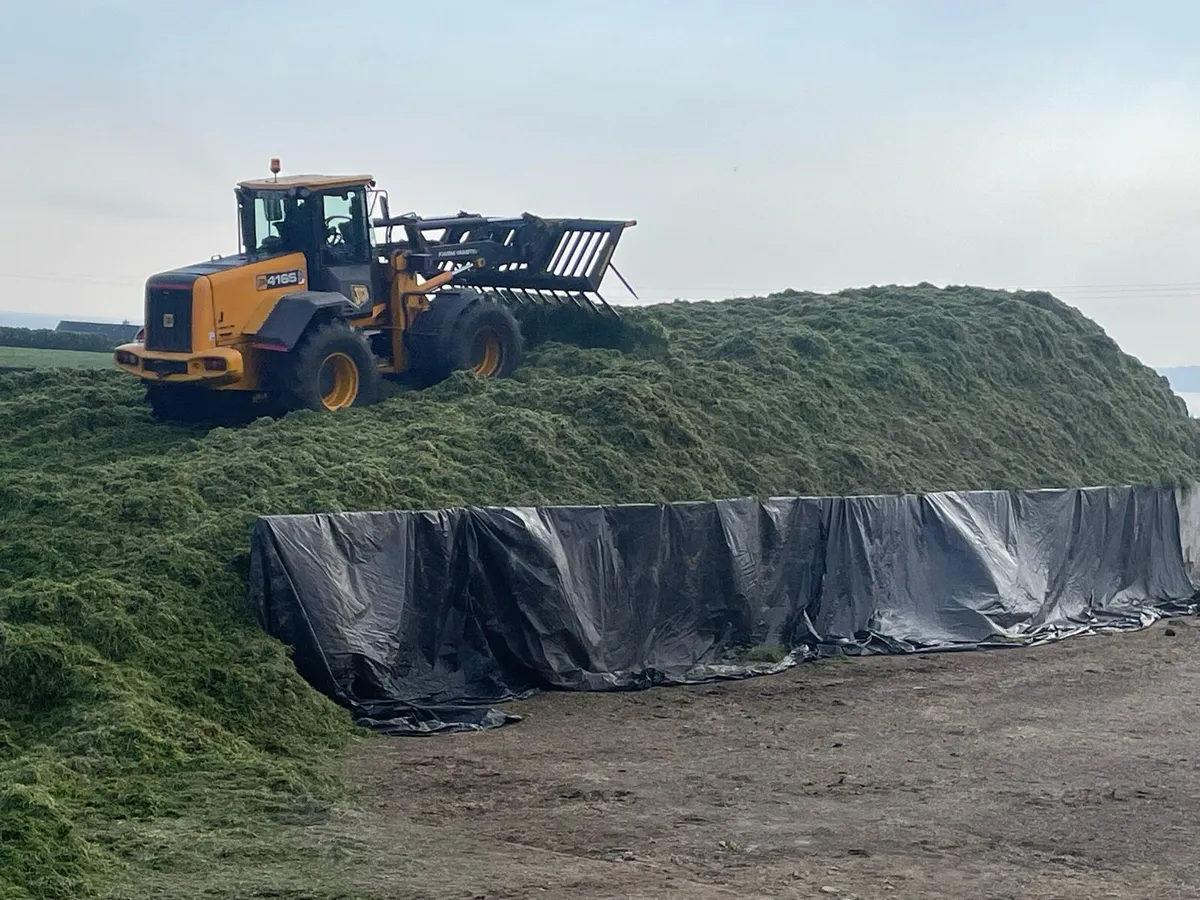 High output wagon silage in Southeast - Image 3
