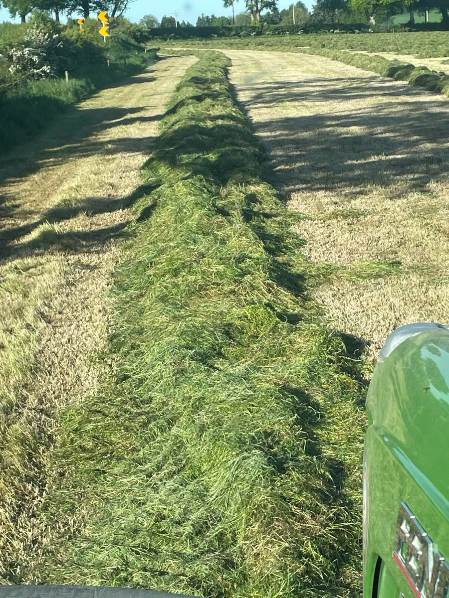 High output wagon silage in Southeast - Image 4