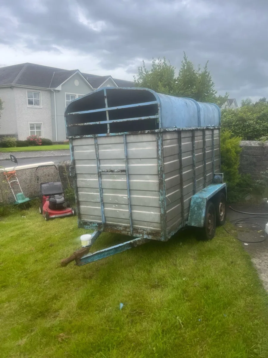 Twin Axle cattle trailer- Solid Frame- Needs Work - Image 1