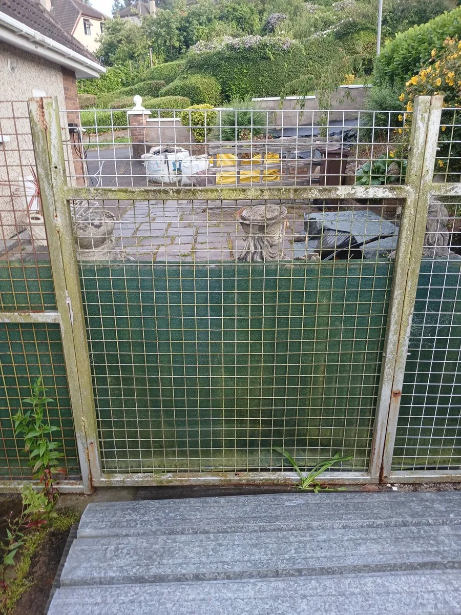Dog run  11 by 15 - Image 2