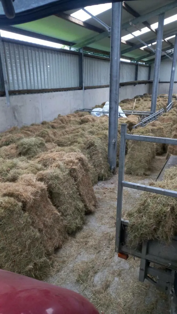 Square and Round bales hay. Round bales silage - Image 1
