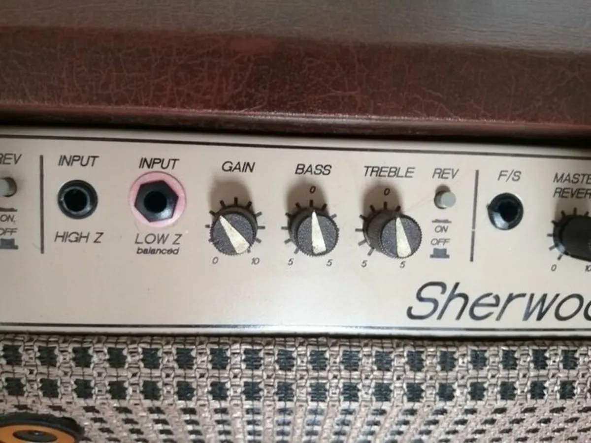 Carlsbro Sherwood Electric/acoustic Guitar Amplifi - Image 3