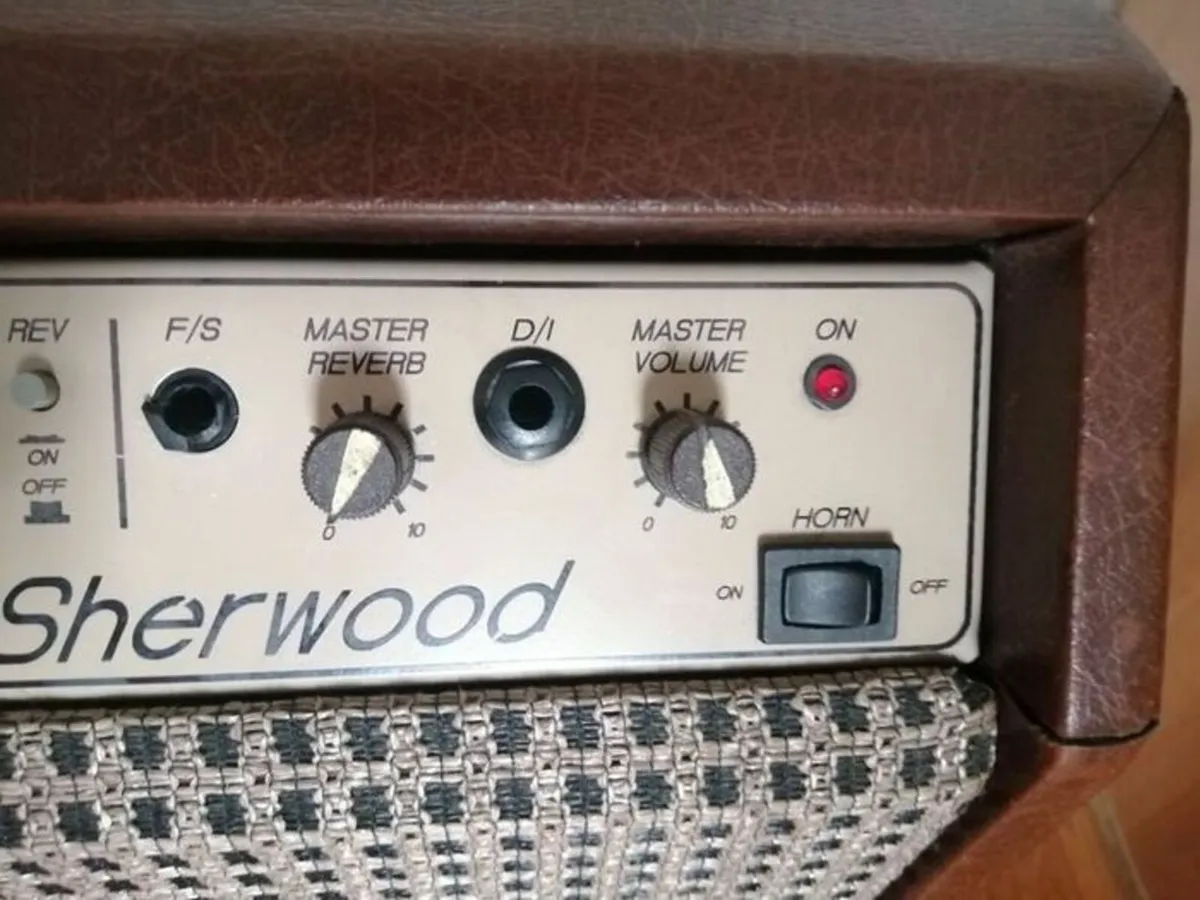 Carlsbro Sherwood Electric/acoustic Guitar Amplifi - Image 4