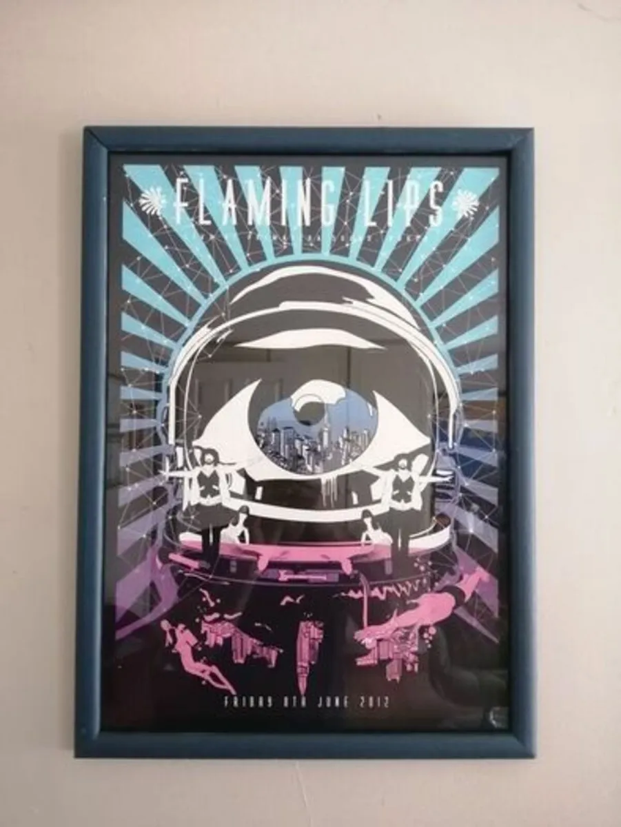 Flaming Lips - Framed screen print - Image 1