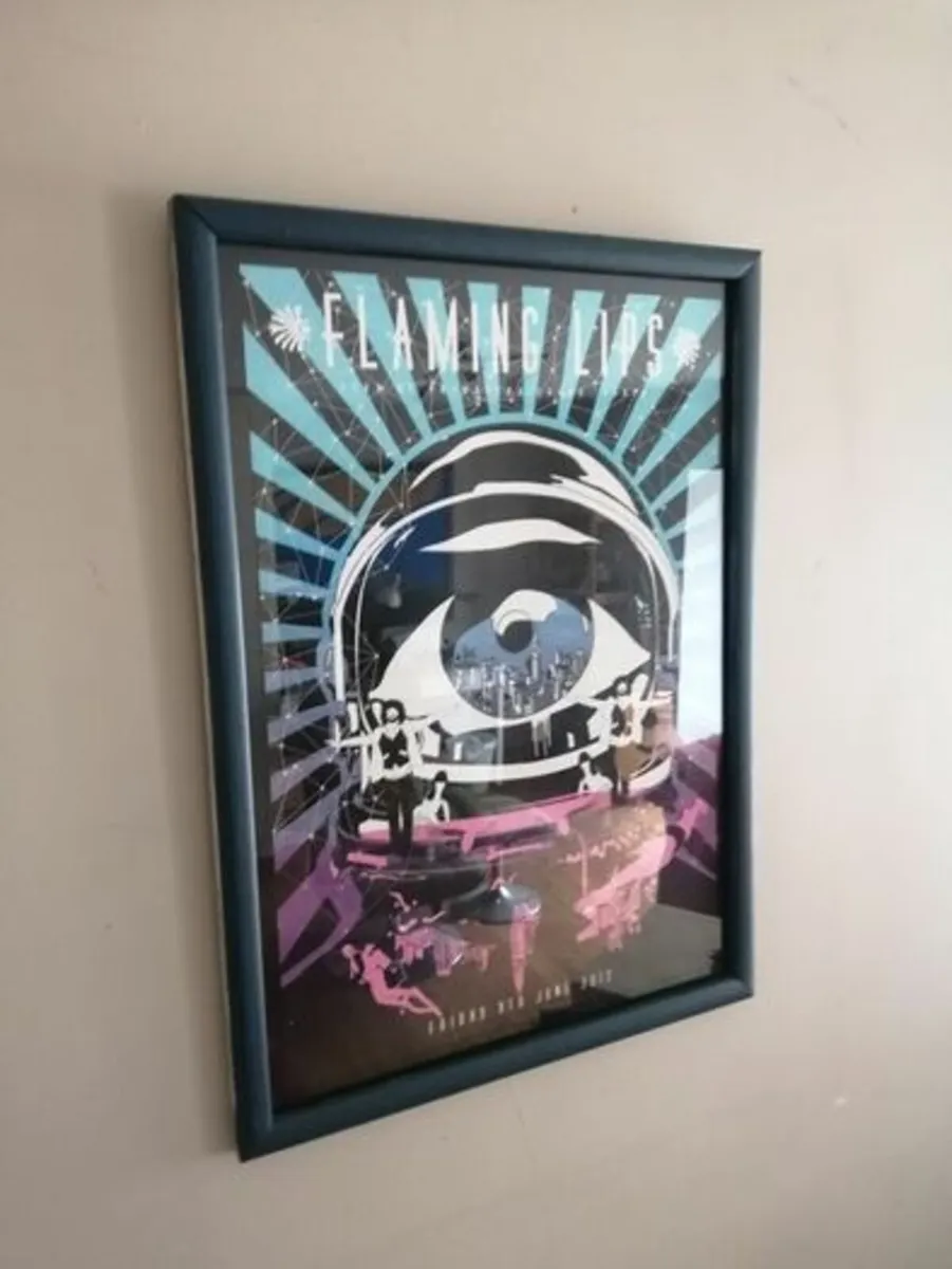 Flaming Lips - Framed screen print - Image 2