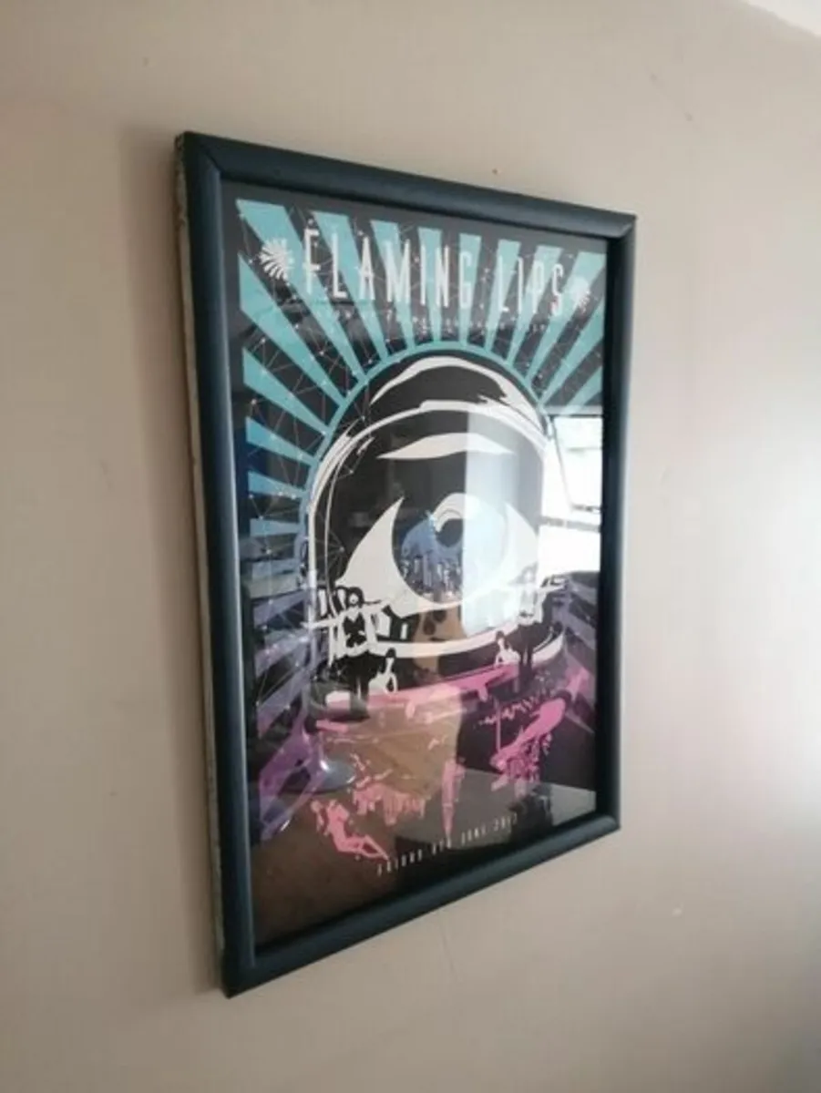 Flaming Lips - Framed screen print - Image 3