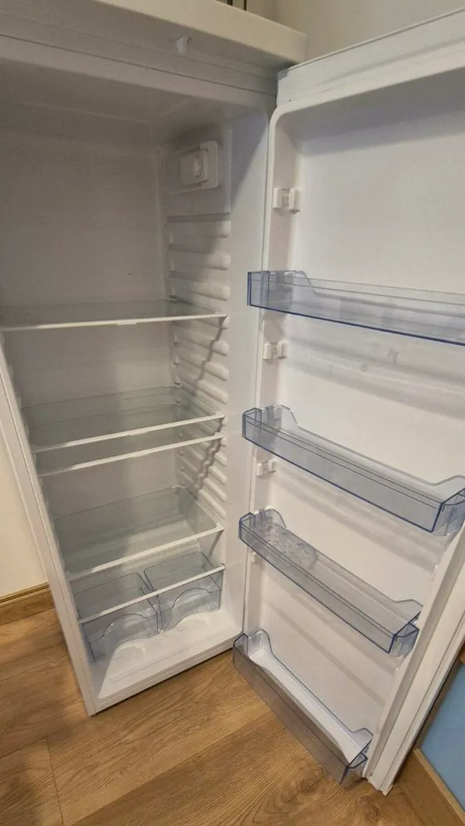 Fridge Swan - Image 2