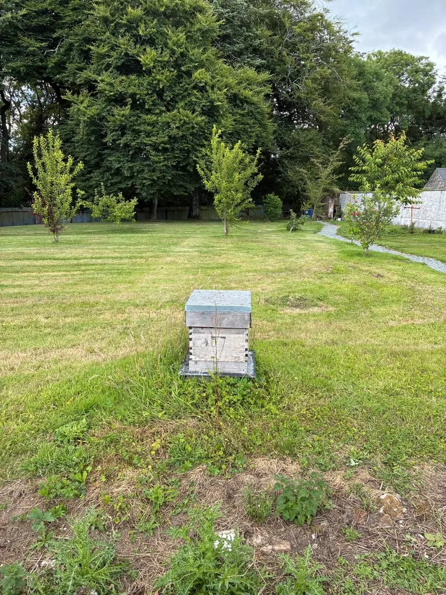 Beehives for sale
