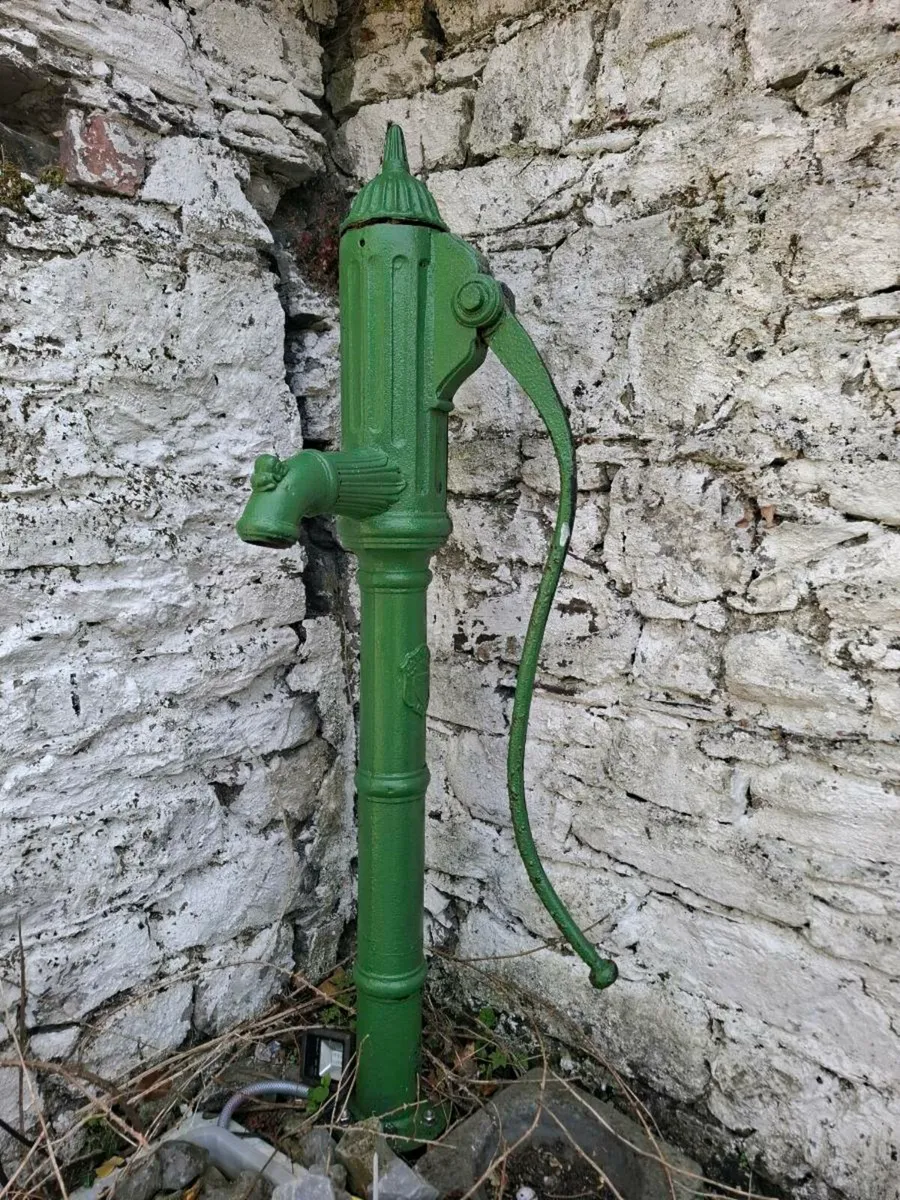 Cast Iron Water Pump - Image 1