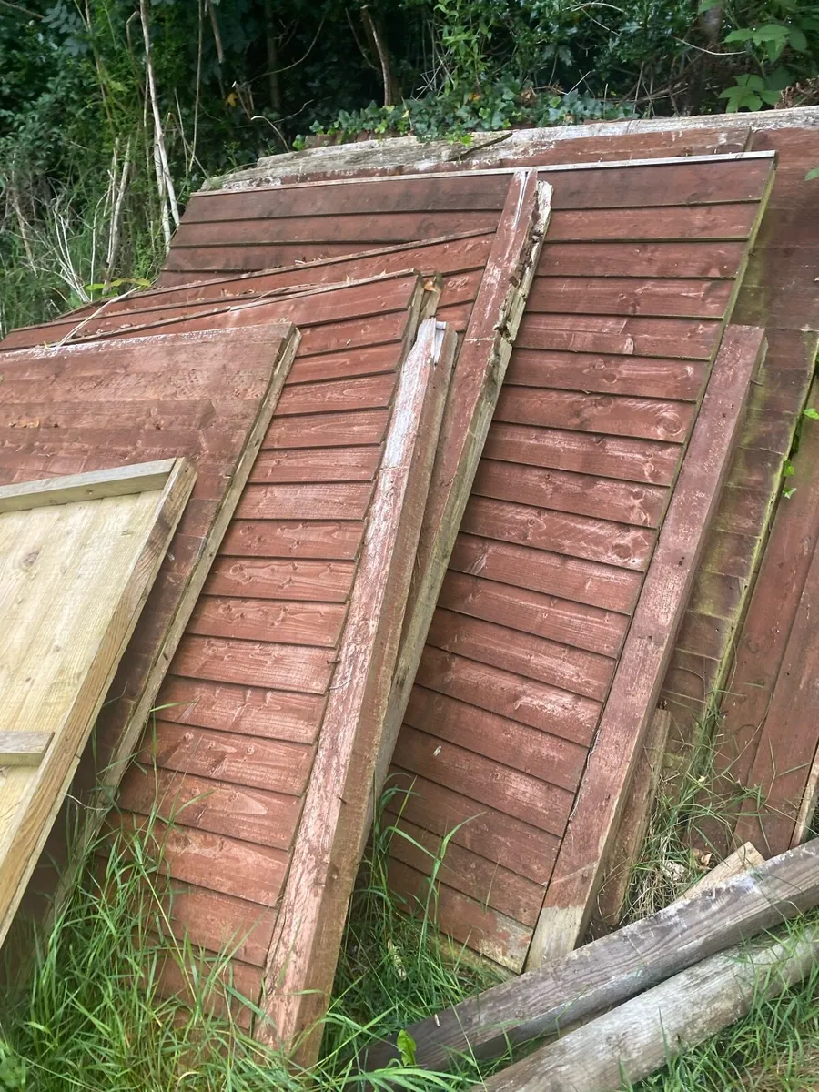 Wood Fencing with posts - Image 2