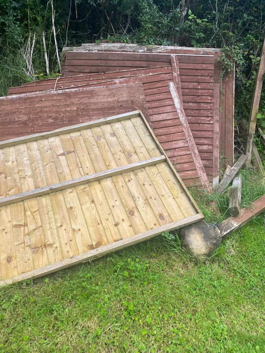 Wood Fencing with posts - Image 3