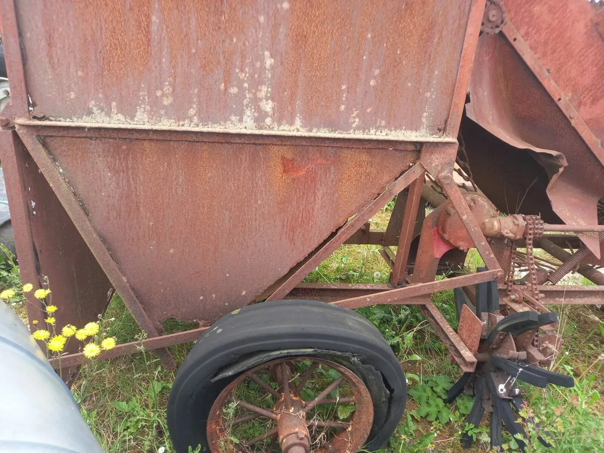 Catchpole beet harvester - Image 1
