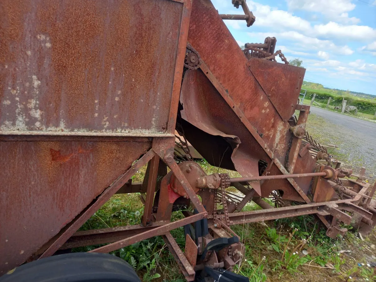 Catchpole beet harvester - Image 2