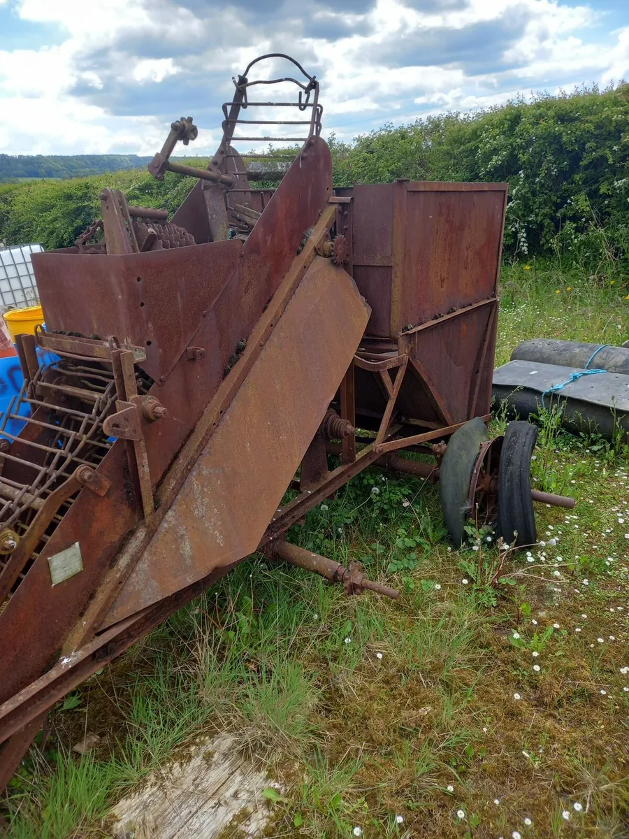 Catchpole beet harvester - Image 3