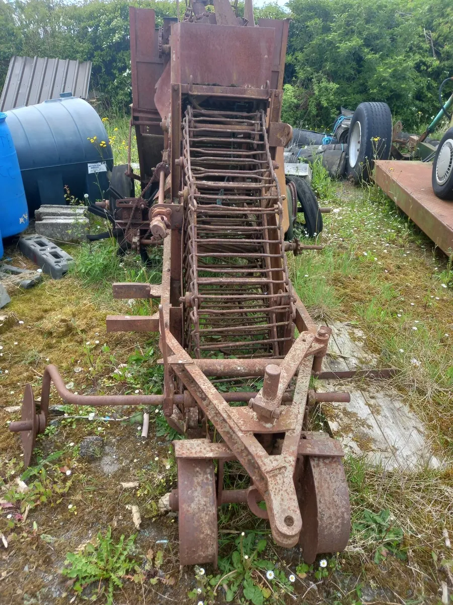 Catchpole beet harvester - Image 4