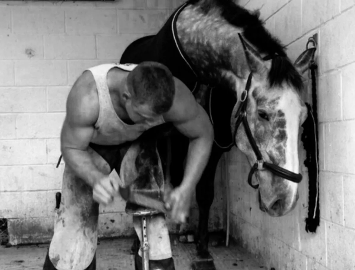Apprentice Farrier
