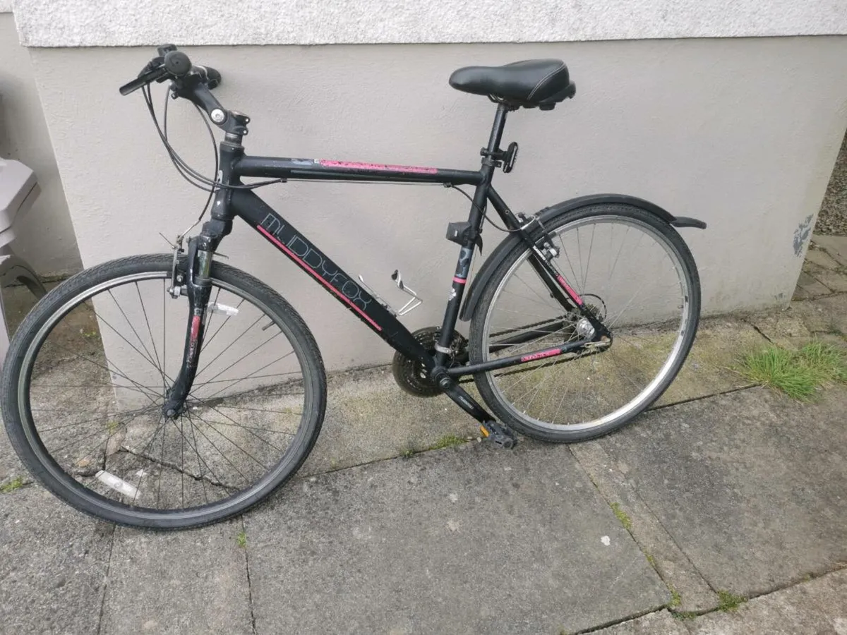 Adult bike for sale - Image 1