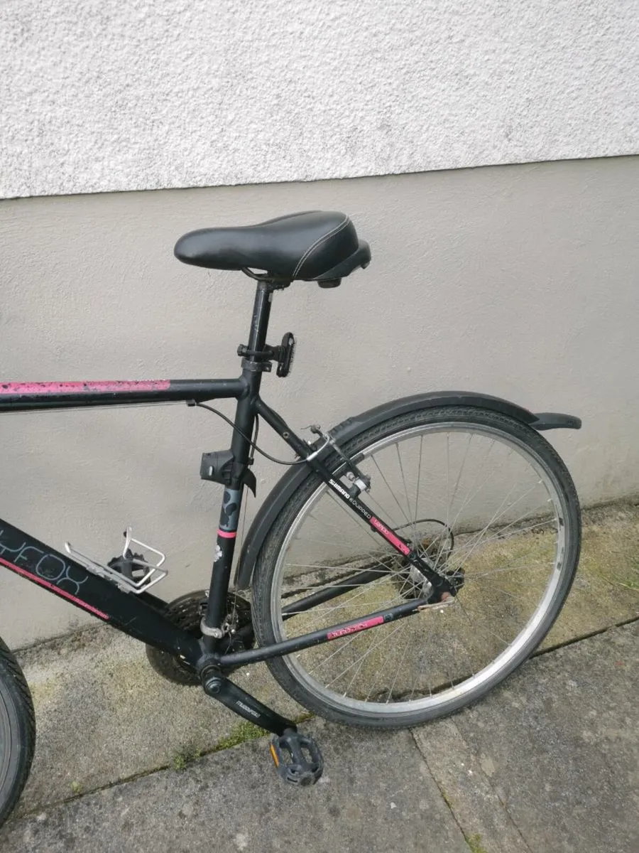 Adult bike for sale - Image 2