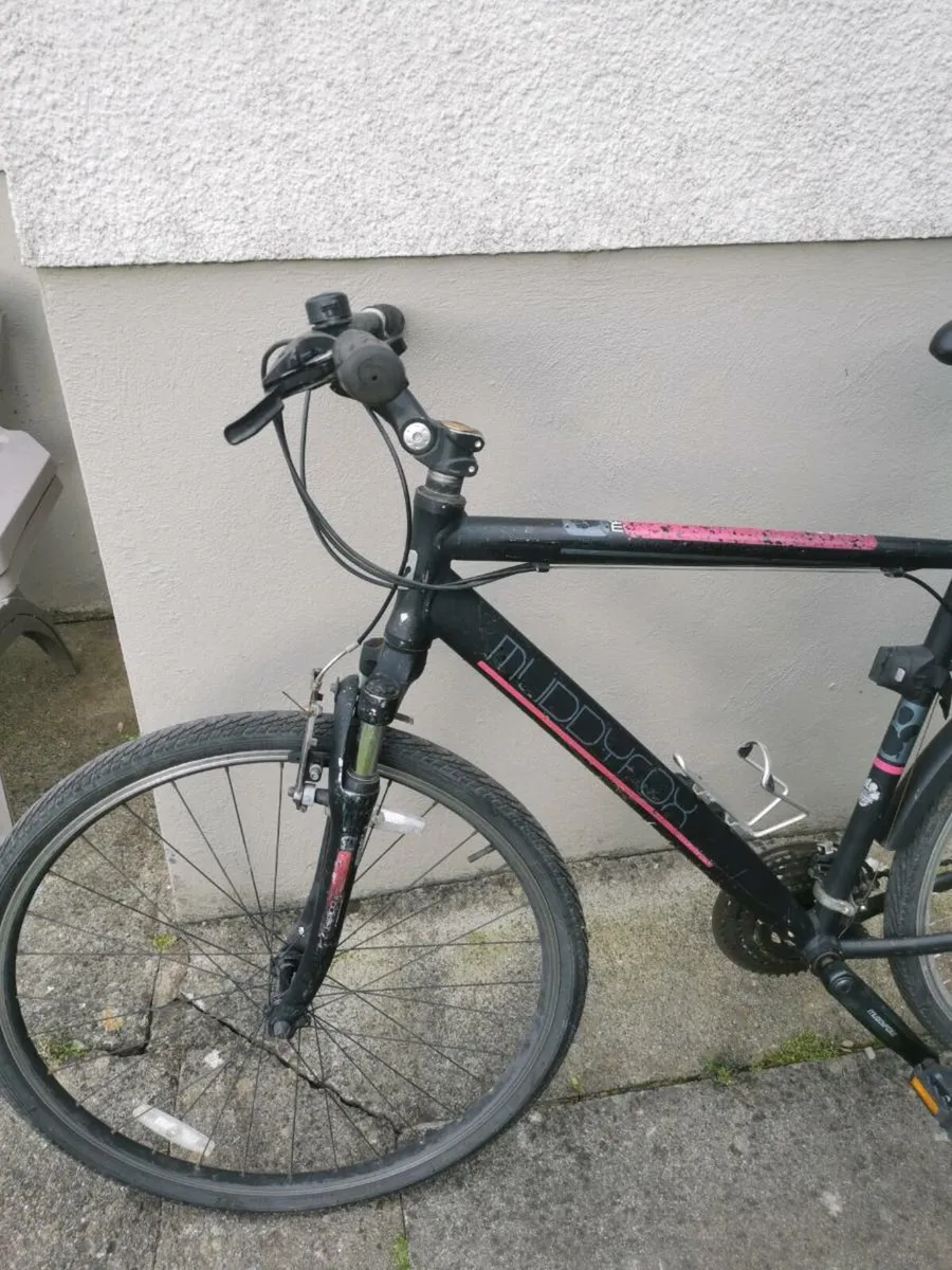 Adult bike for sale - Image 3