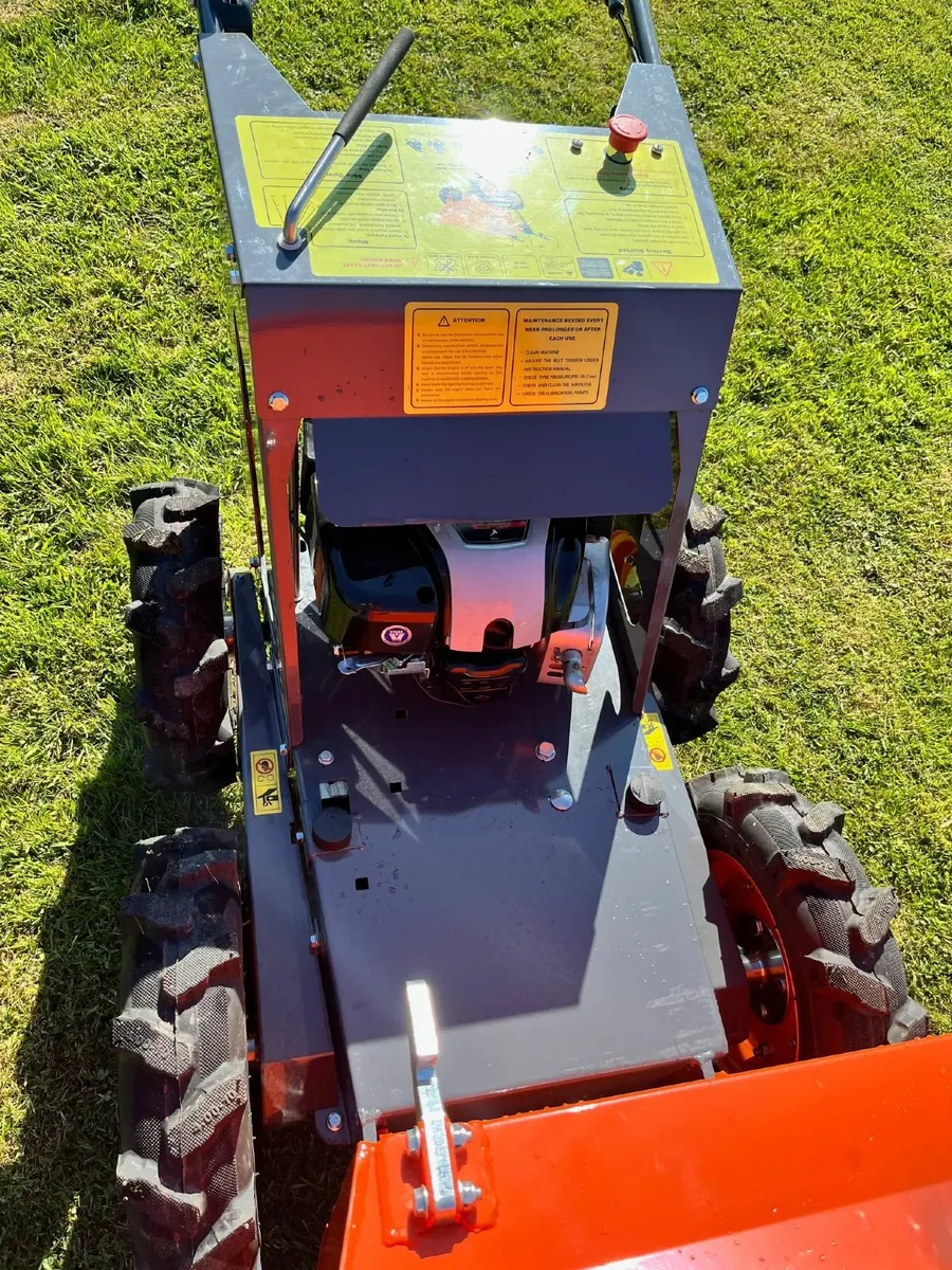 Mini Dumper - Image 3