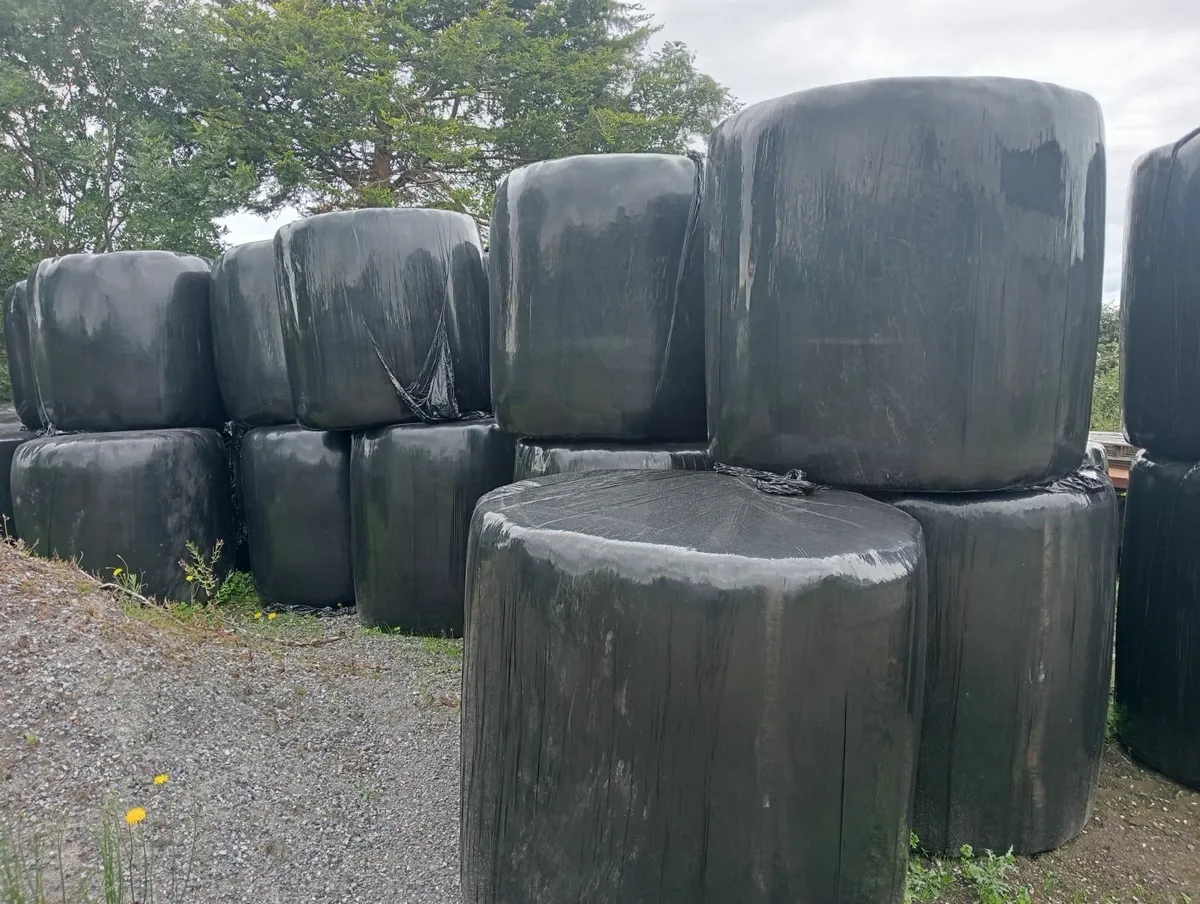 Haylage