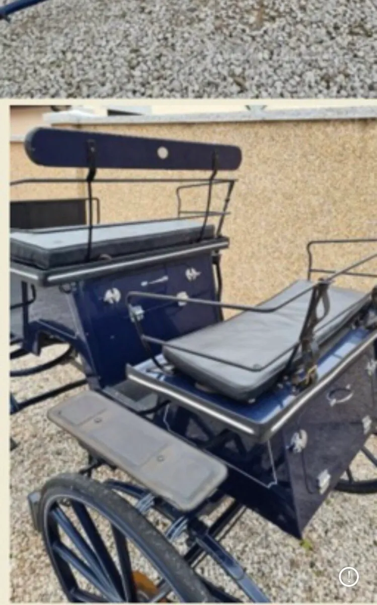 4 wheeler Bennington Carriage - Image 1