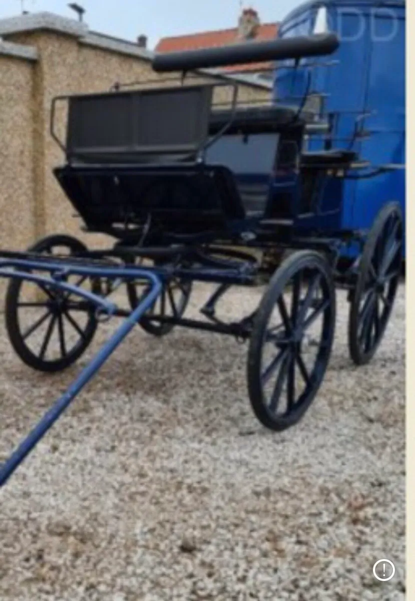 4 wheeler Bennington Carriage - Image 2