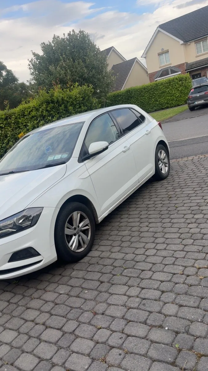 181 d polo - Image 2