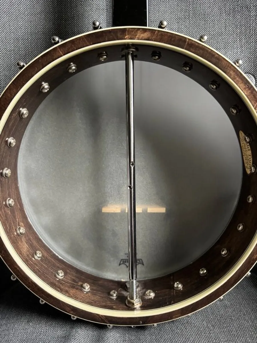 5 String Banjo - Gold Tone WL250+ 'Tree of Life' with Hard Case - Image 3