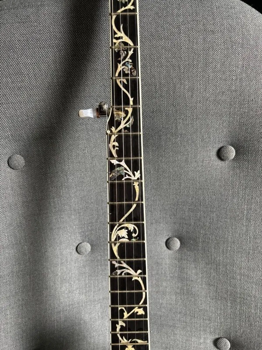 5 String Banjo - Gold Tone WL250+ 'Tree of Life' with Hard Case - Image 4