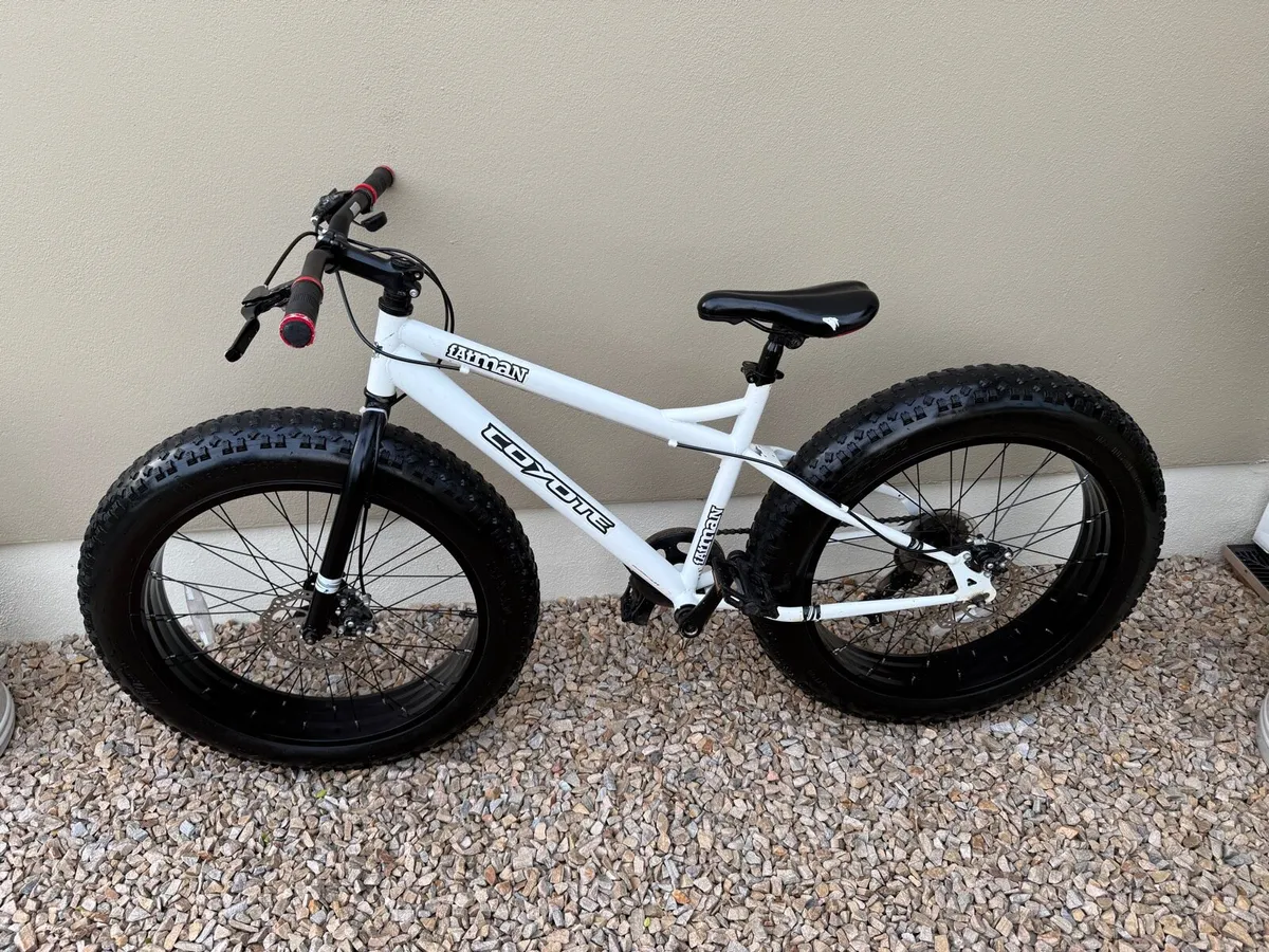 Kids bike - Image 1