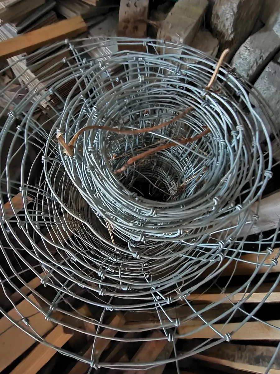 SHED CLEAROUT - Image 3