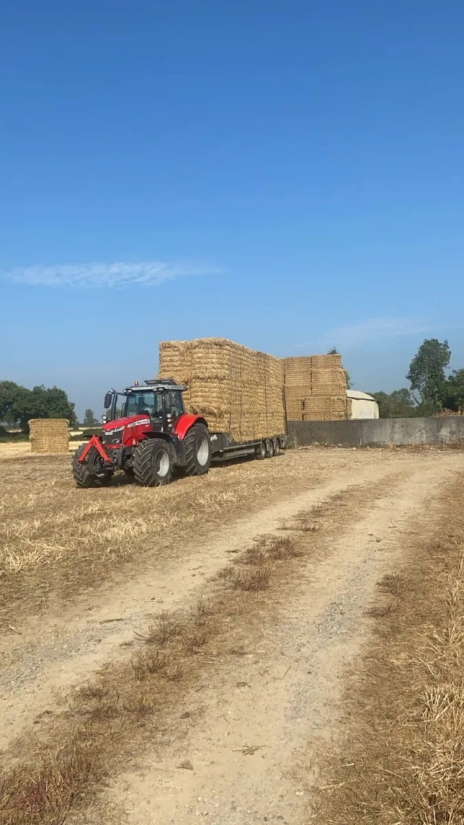 2025 straw - Image 2