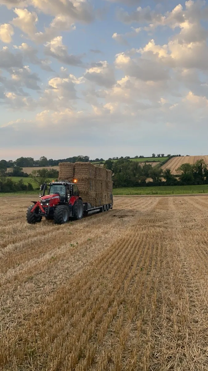 2025 straw - Image 3