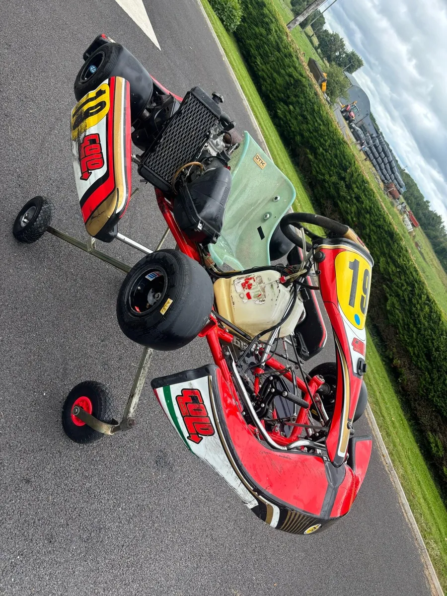 Rotax Max 125 Gold Kart - Image 1
