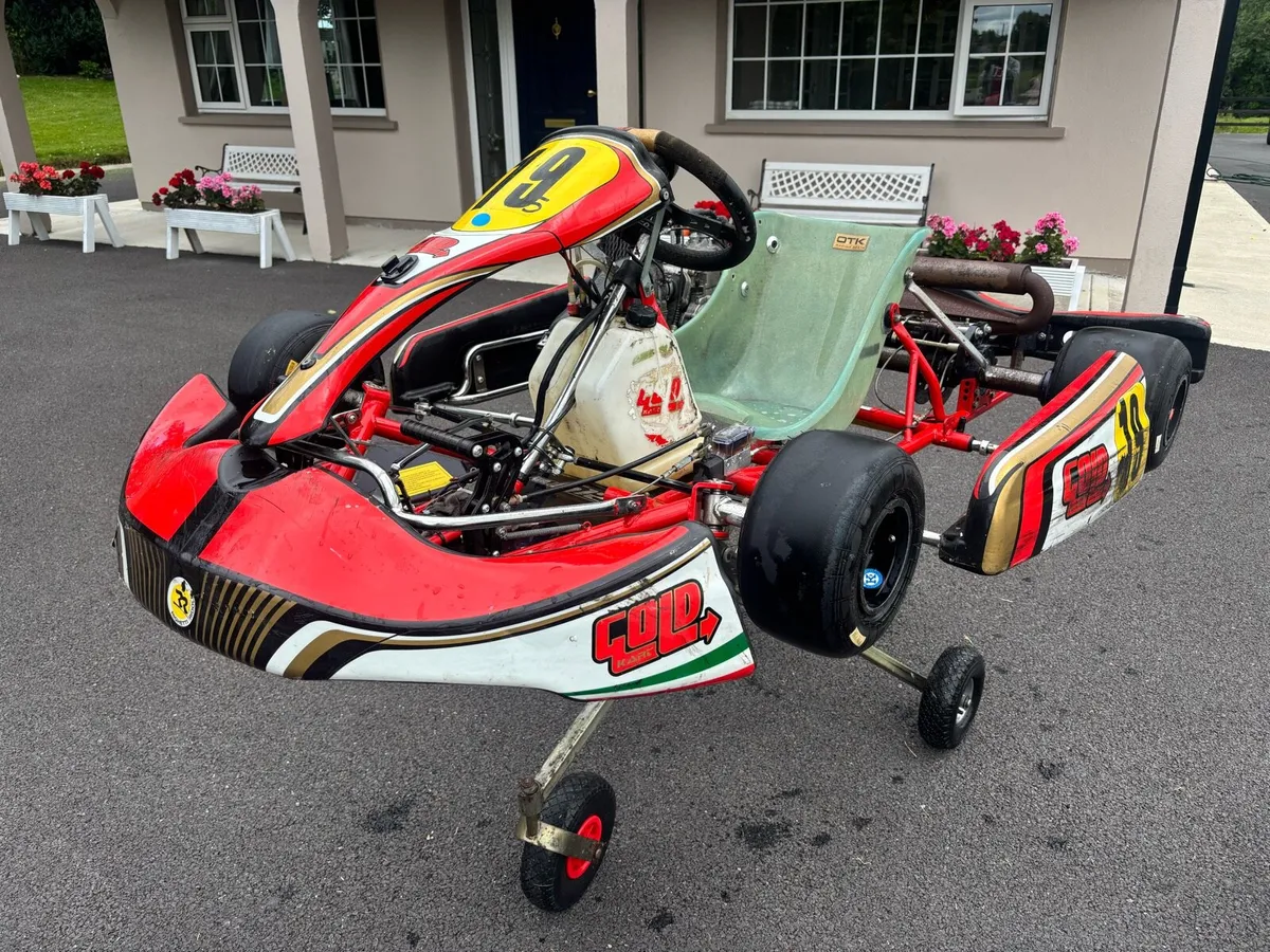 Rotax Max 125 Gold Kart - Image 2
