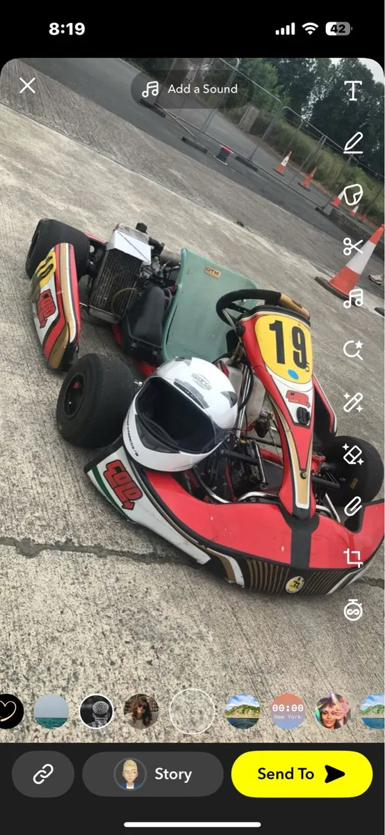 Rotax Max 125 Gold Kart - Image 3