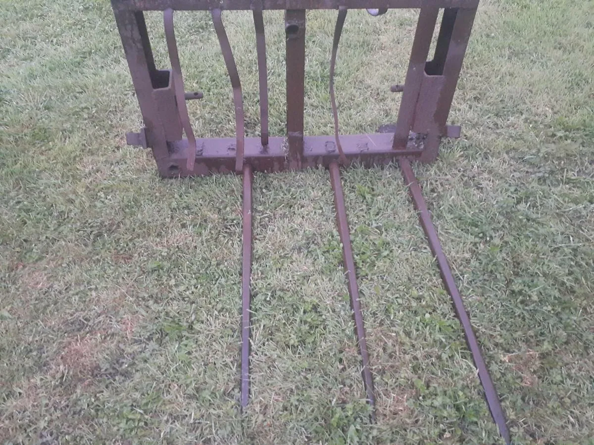 Back loader fork - Image 1