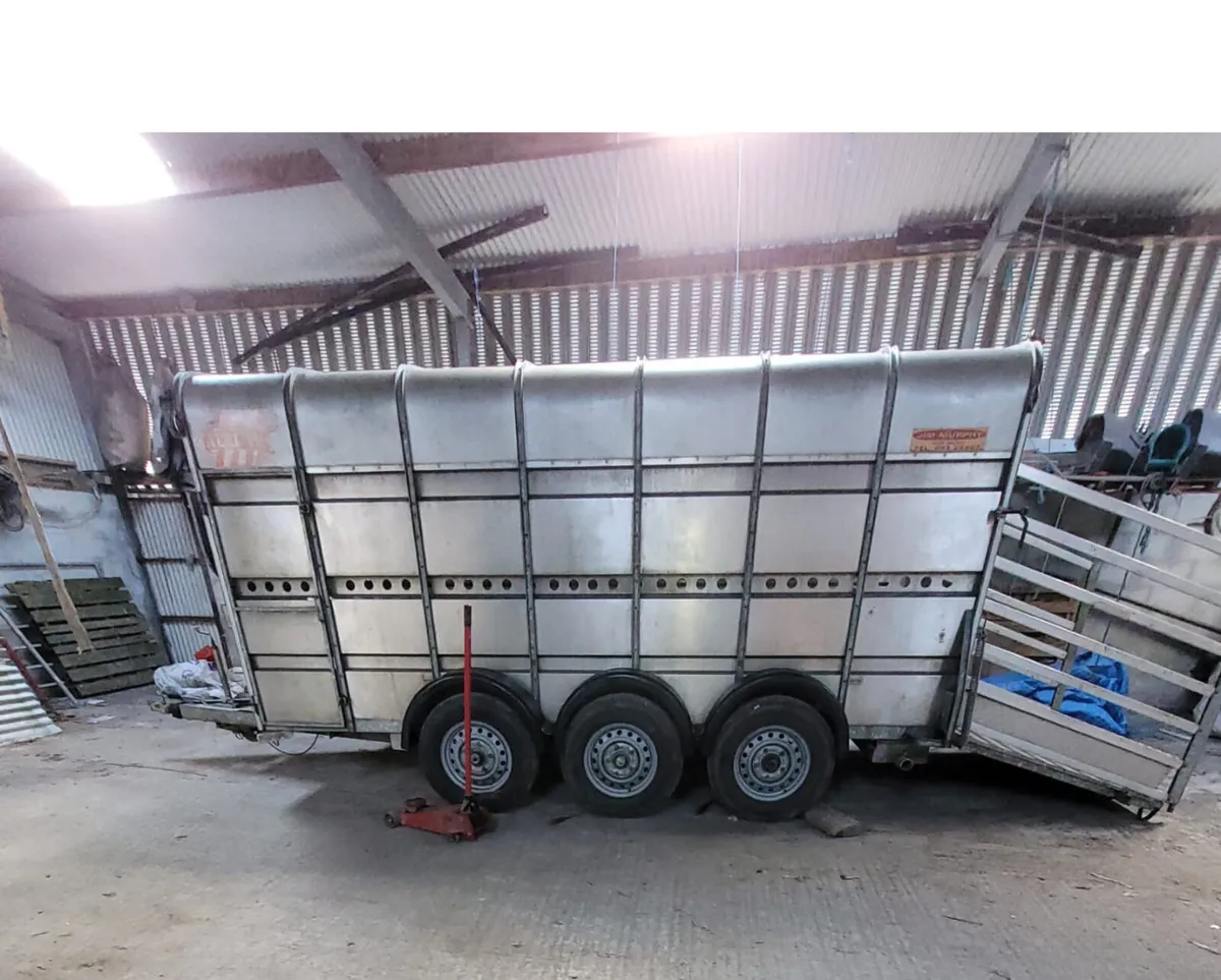 Murphy’s 14ft tri-axle Cattle / Sheep Trailer - Image 1