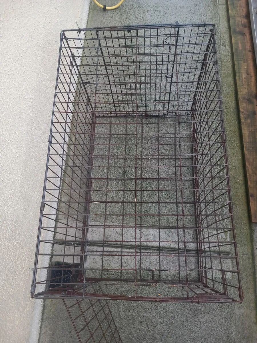 Dog cages - Image 1