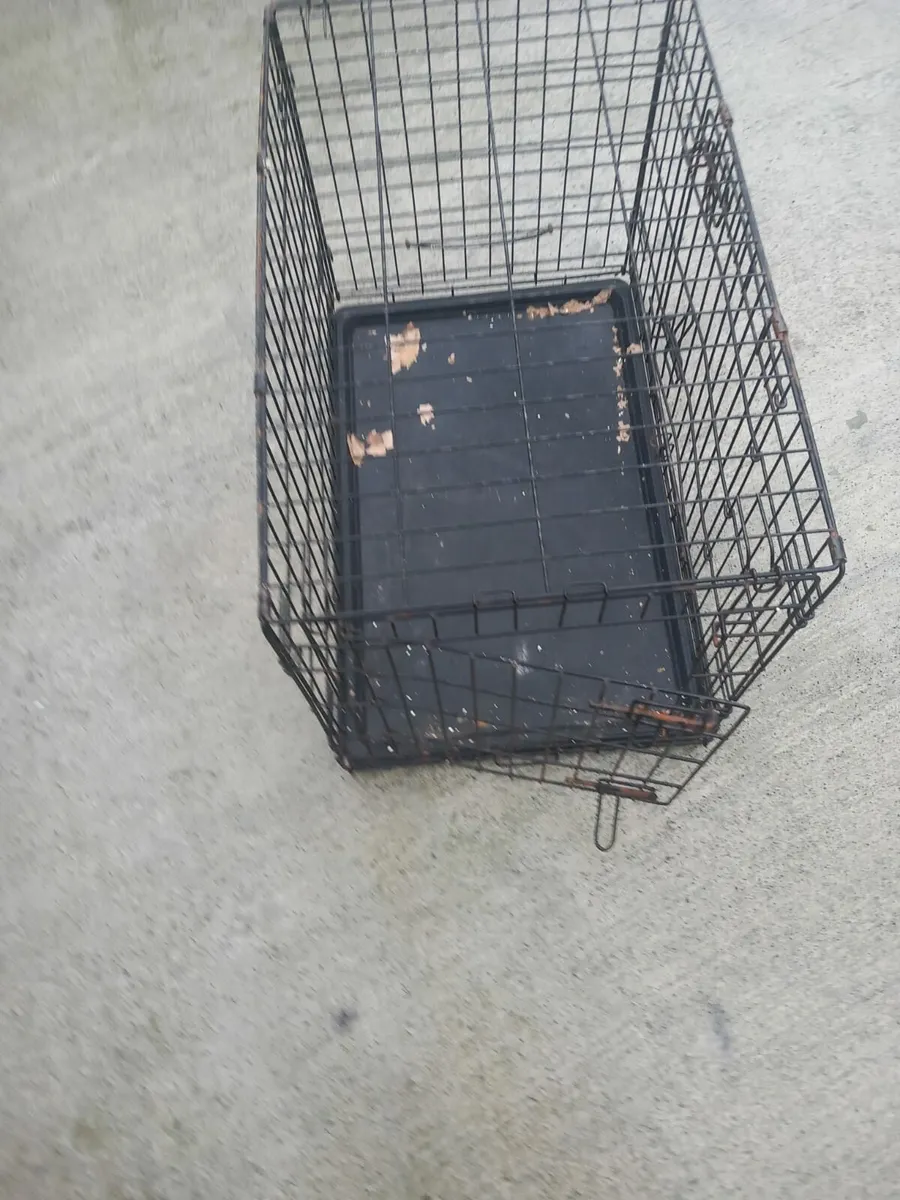 Dog cages - Image 2
