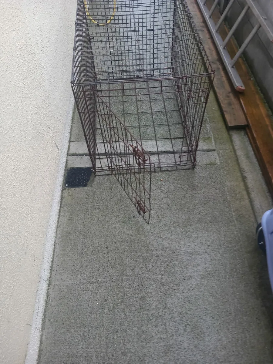 Dog cages - Image 3