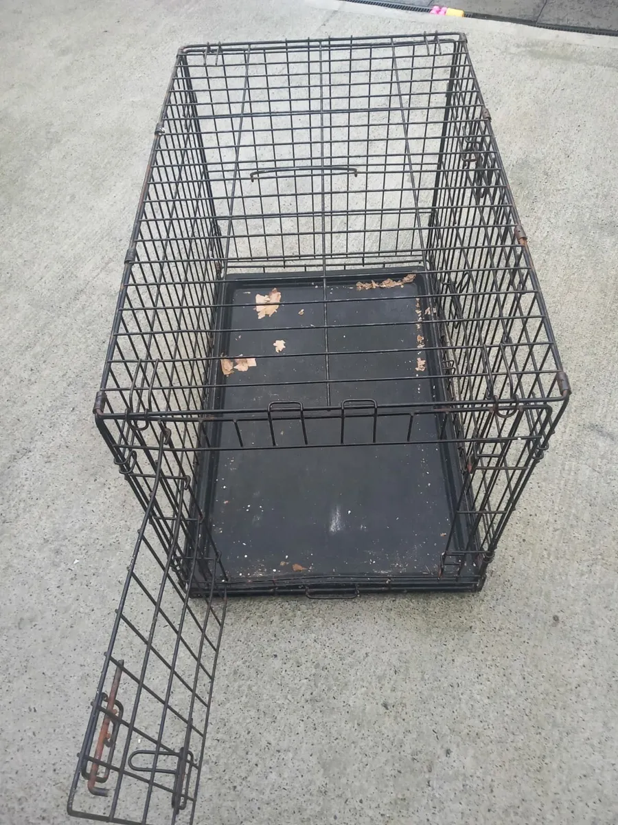 Dog cages - Image 4
